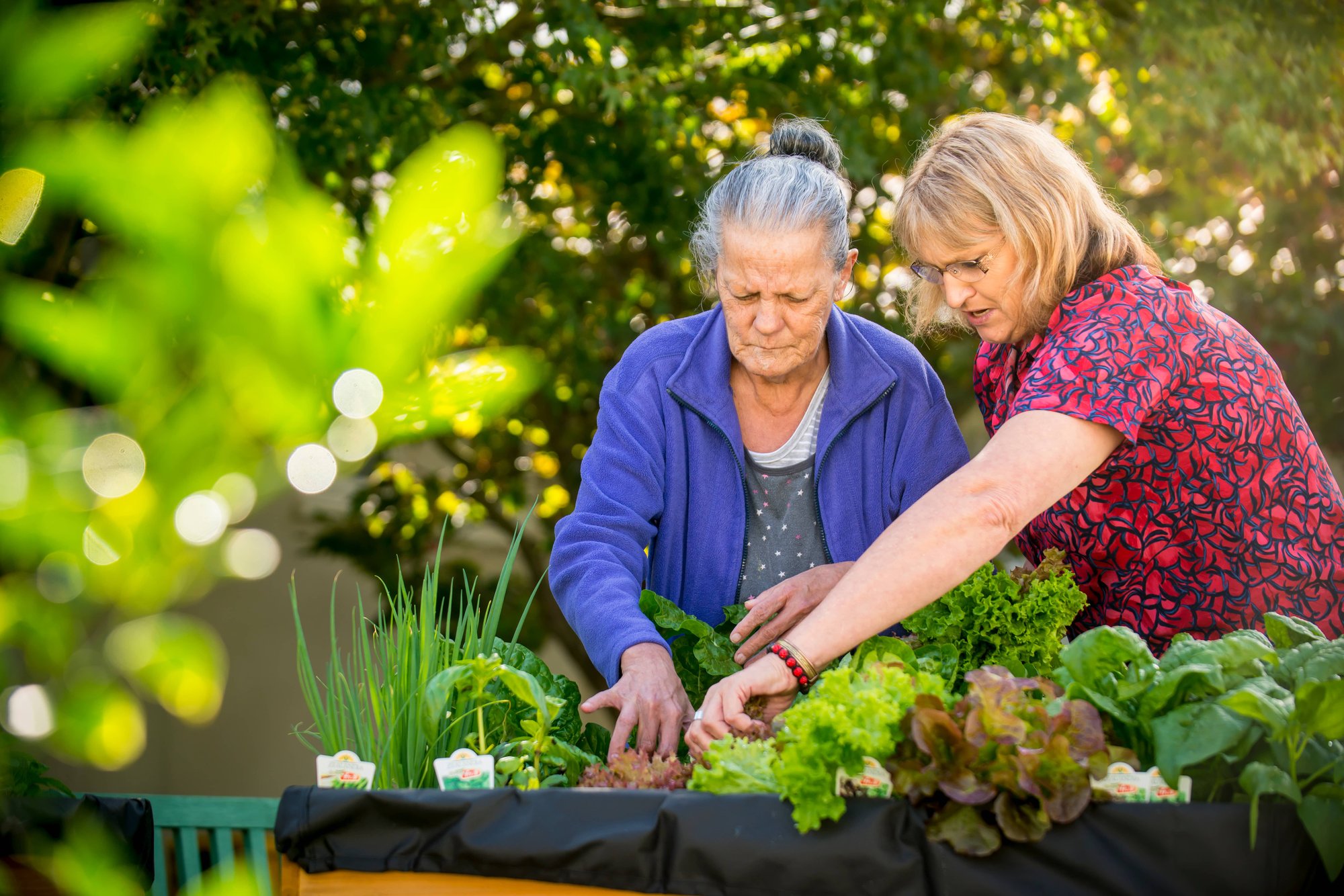 Enliven staff member standing next to female resident, gardening