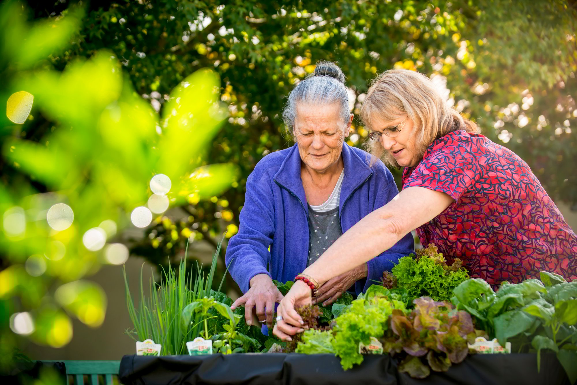 170407_EL_Brightwater Home_Lorraine Weakley Sharon Chapman (12)