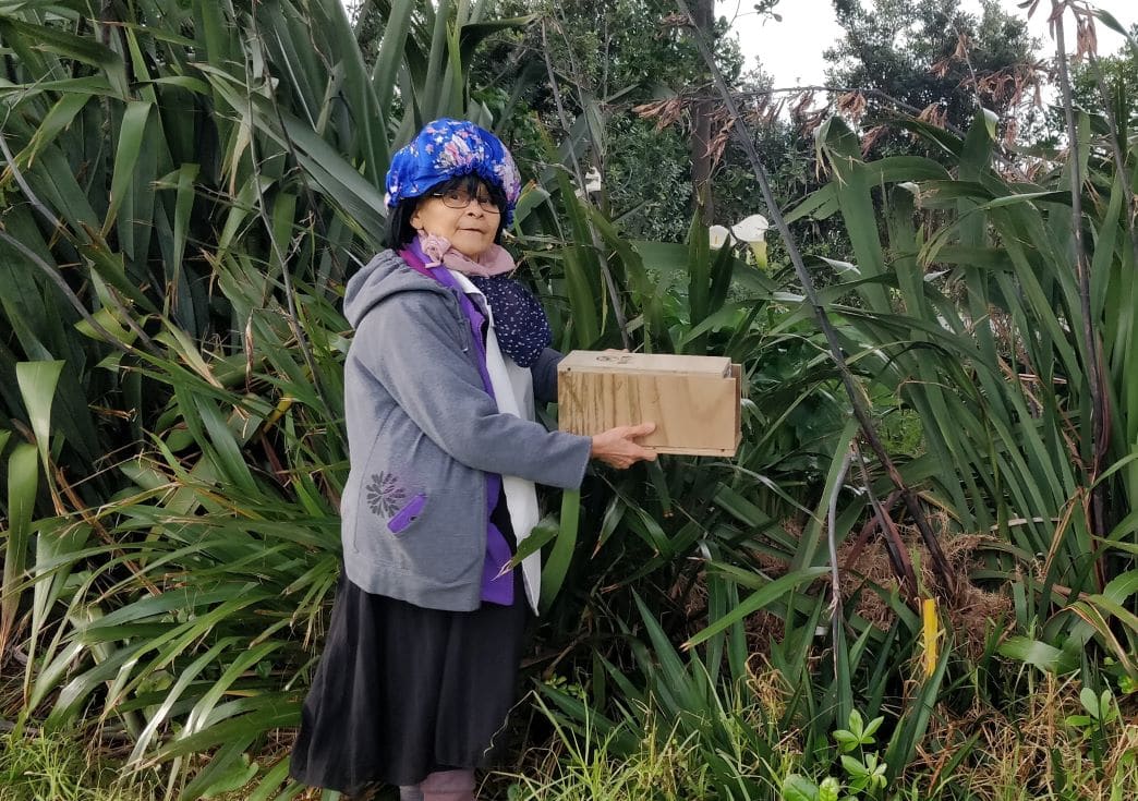 Lolita-Taranaki-Daily-News_1