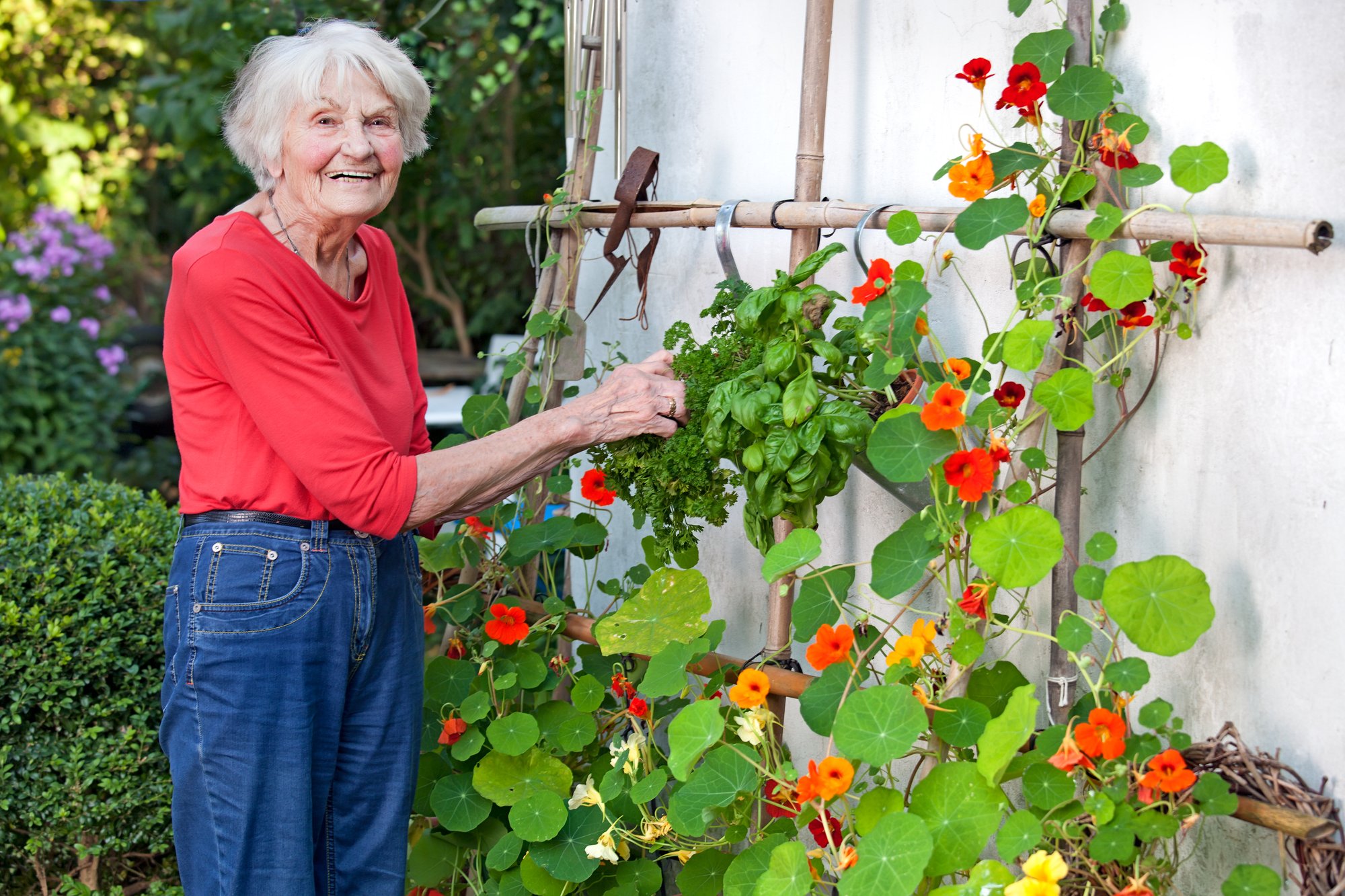 Smiling woman at flower vines_Fotolia_78159906