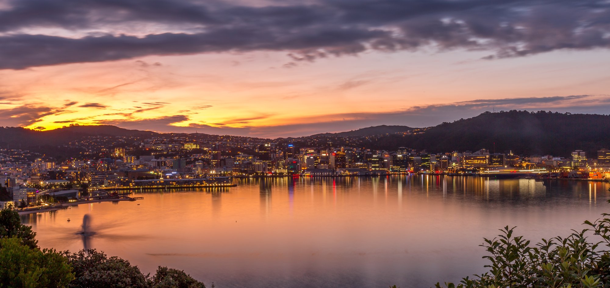 Wellington_shutterstock_2550016401