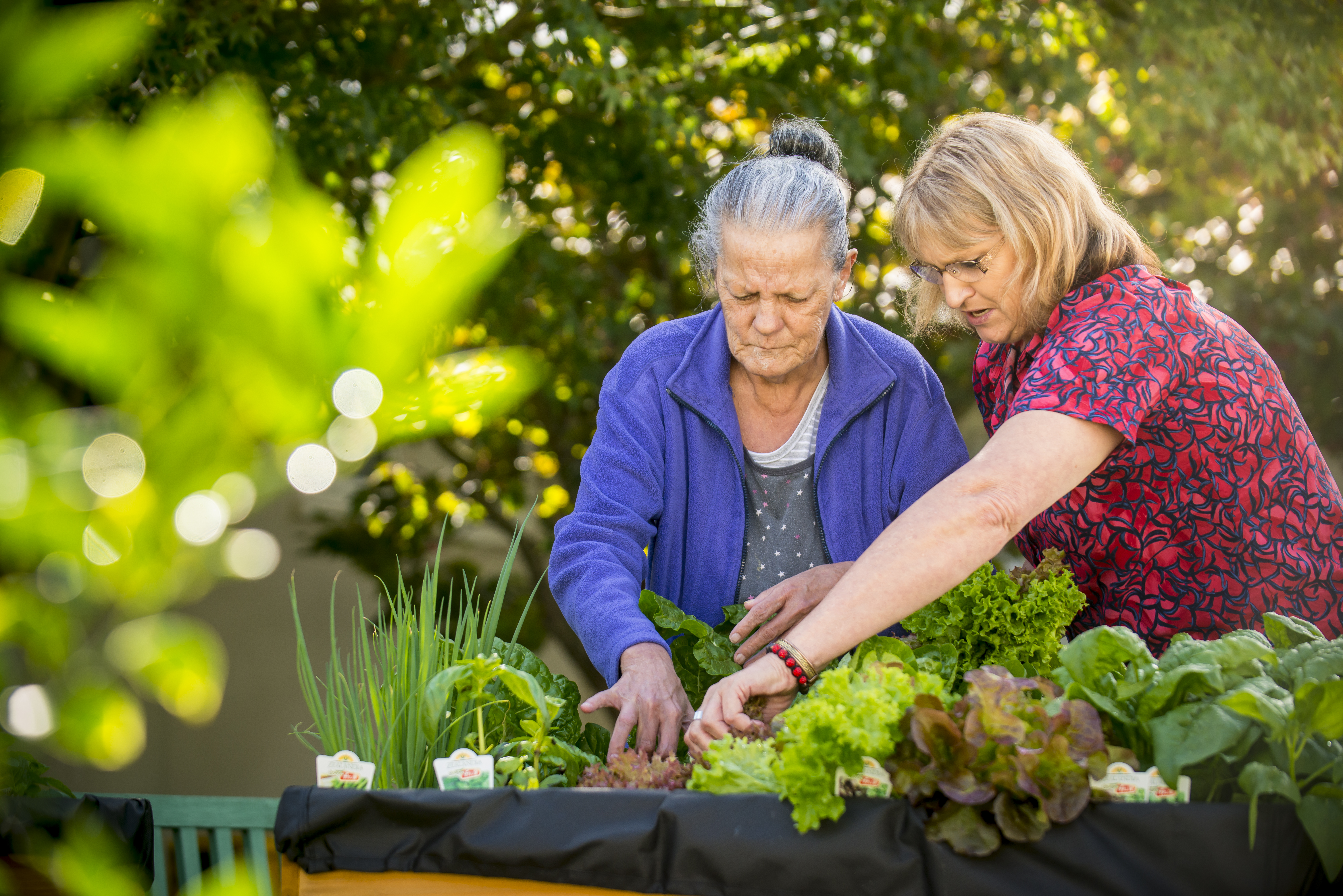 Cards-brightwater-home-new