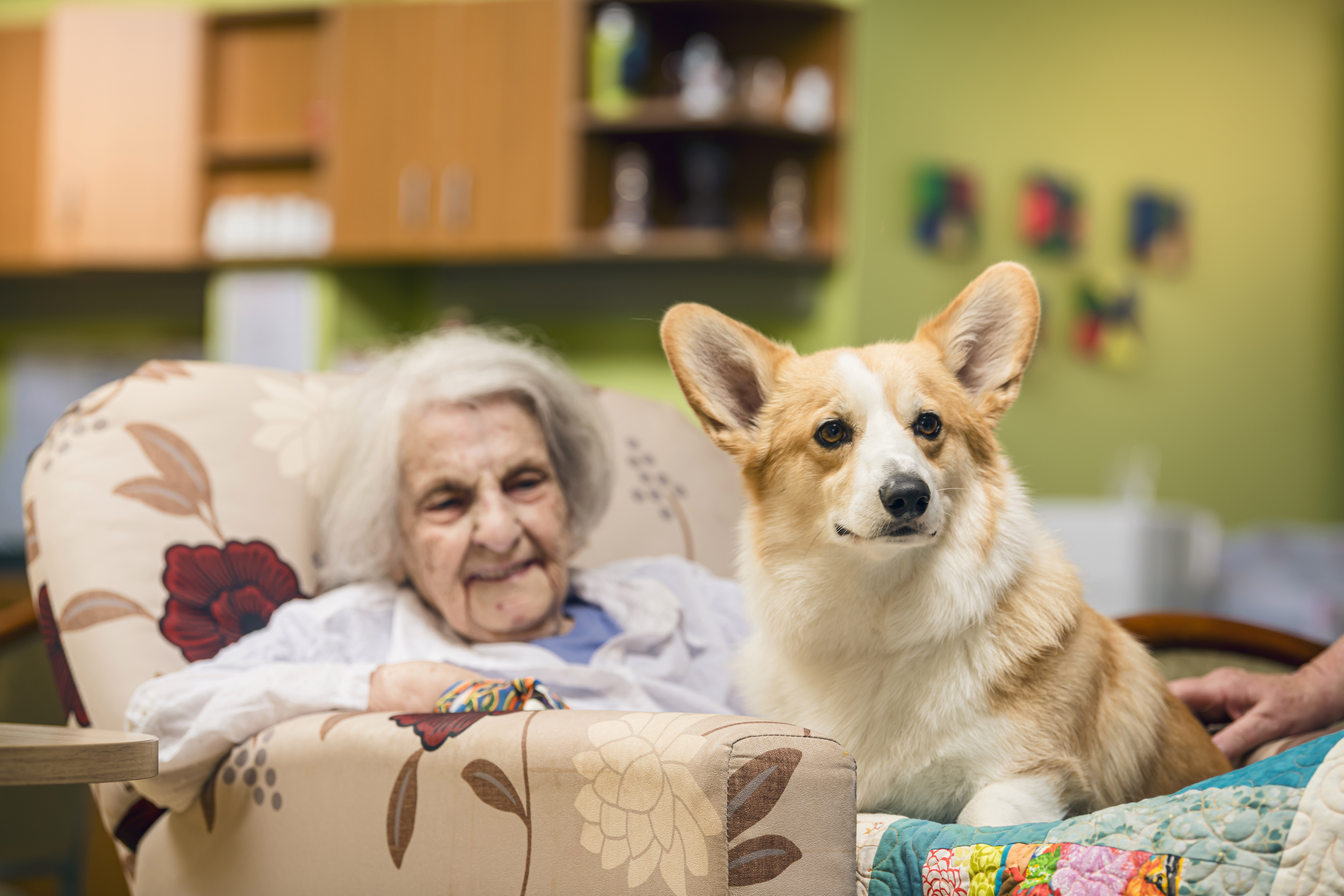 Card_Cashmere-heights-home