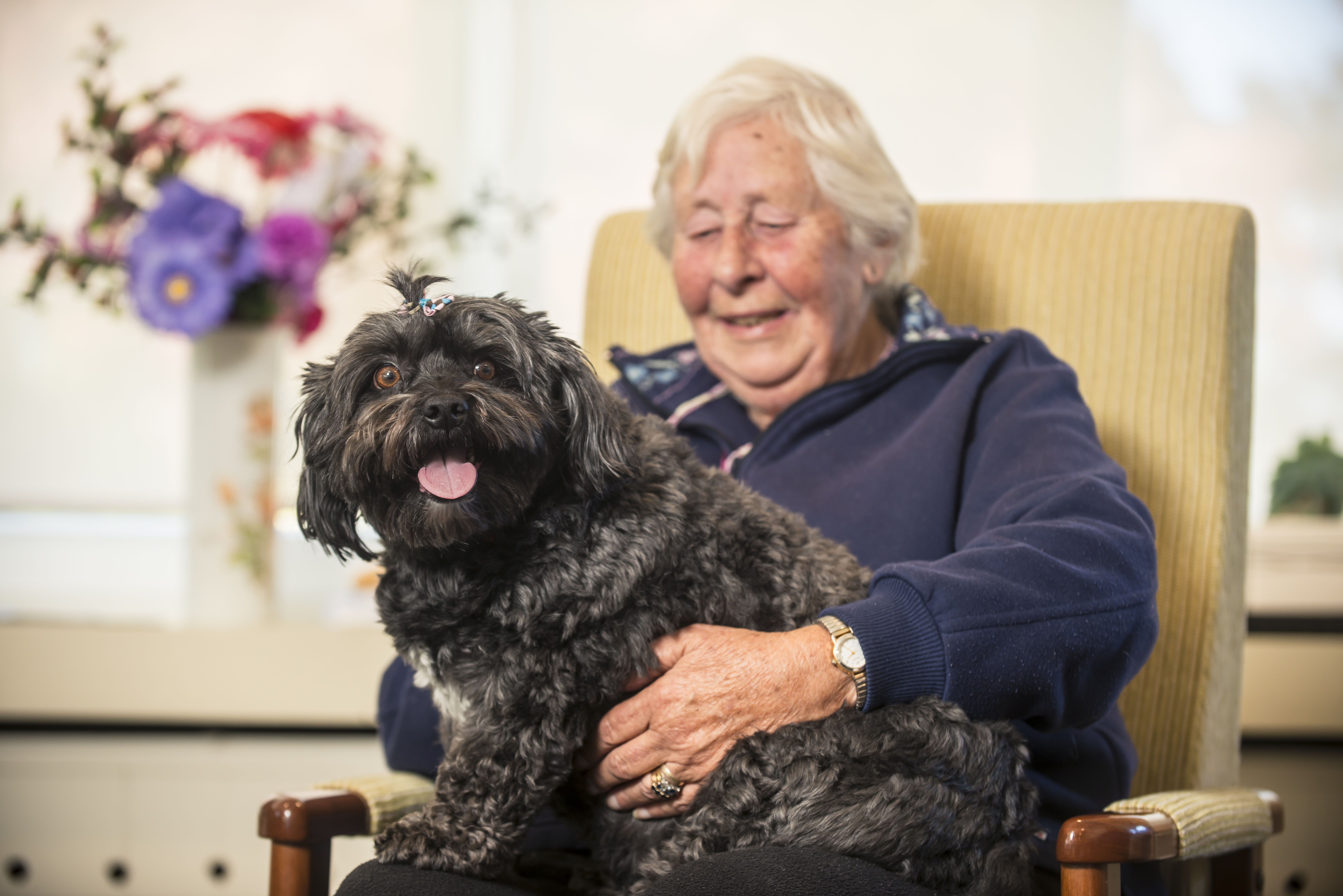 <span id="hs_cos_wrapper_name" class="hs_cos_wrapper hs_cos_wrapper_meta_field hs_cos_wrapper_type_text" style="" data-hs-cos-general-type="meta_field" data-hs-cos-type="text" >Care Costs & Funding</span>