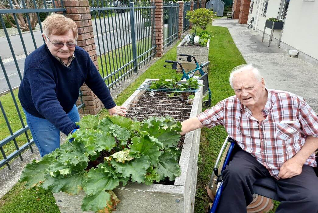 Cashmere Home Residents Enjoy Garden Harvest Enliven Central